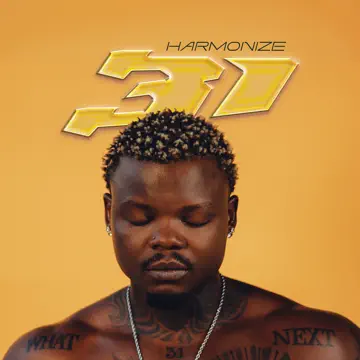 Harmonize Ft Jay Melody - Imeshindikana
